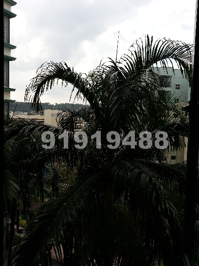 Parc Palais (D21), Condominium #756942